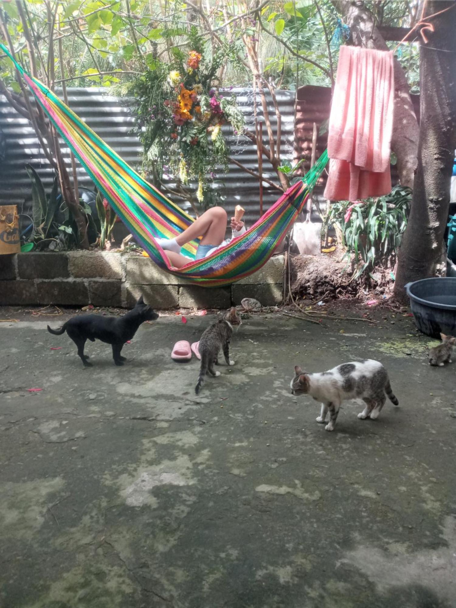 House Zope Hotel Panajachel Bagian luar foto